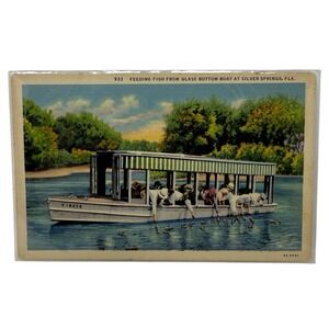 Vintage Linen Postcard Fish Feeding in a Glass Bottom Boat Silver Spring Florida
